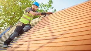 Best Roof Maintenance and Cleaning  in Stacy, MN